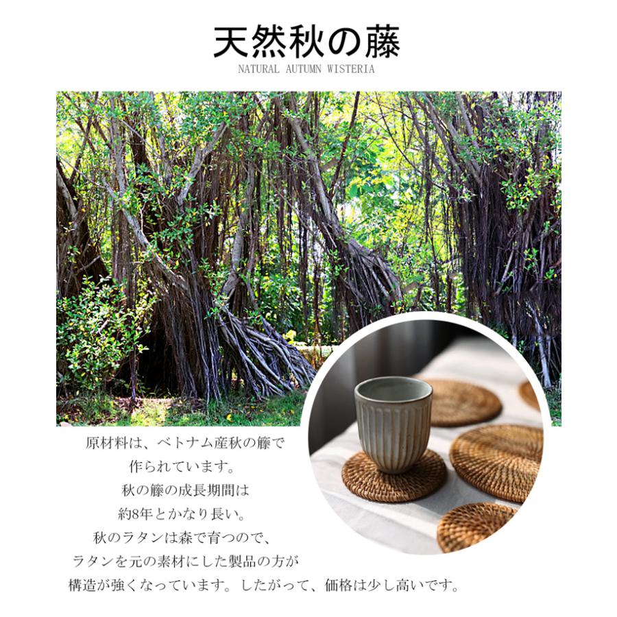 6枚入り/天然木/天然秋藤/4タイプ】コースター ホルダー付き ラタン