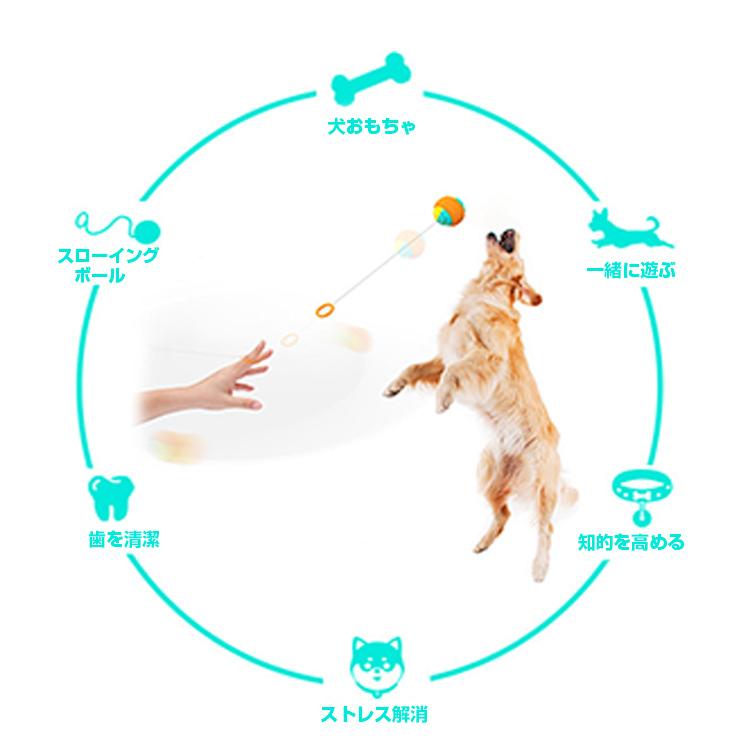 贈与 犬おもちゃ ボール 投げるボール 噛む 耐久性 安全素材犬遊び 知育玩具 面白い ペット用品 清潔 歯磨き 子犬 小型犬 大型犬に適用 運動不足 ストレス解消 Aynaelda Com