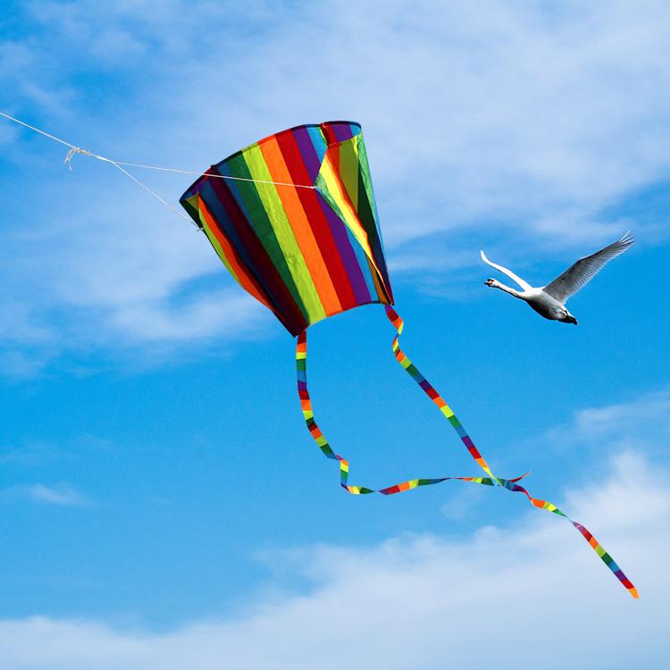 凧上げ カイト 凧 骨なしカイト 長尾200cm 凧揚げ タコ揚げ スポーツ