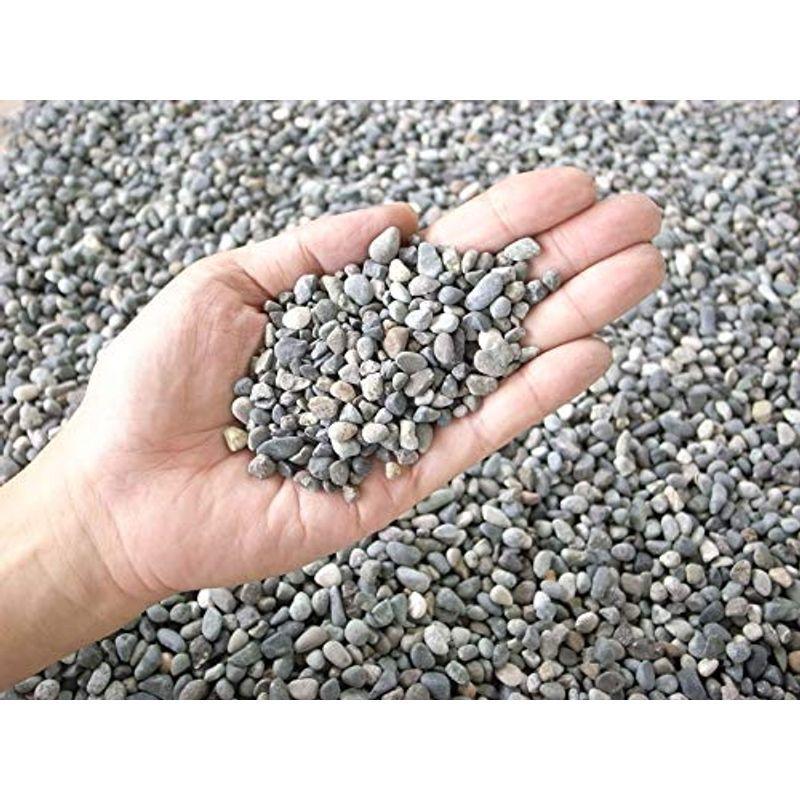 天然大磯石（大磯砂利）20kg袋 選べる7サイズ（3mm?30mm） (2分(約6-8mm)) 砂、ソイル