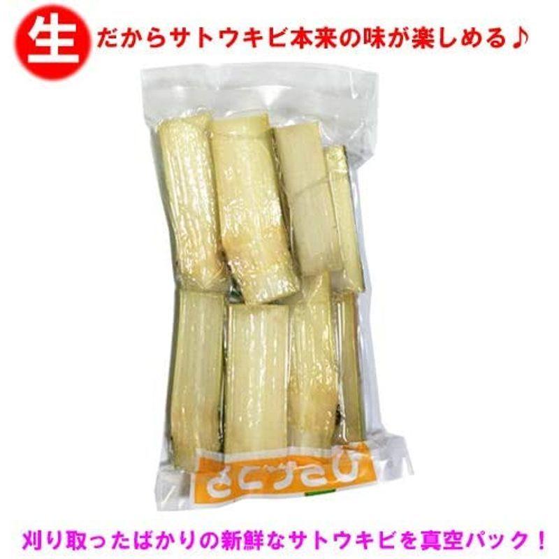 即日出荷 オカヤドカリ飼育セット サンゴ砂10kg 海水500ml 2 サトウキビ メーカー包装済 Flux Fengjiajun Com