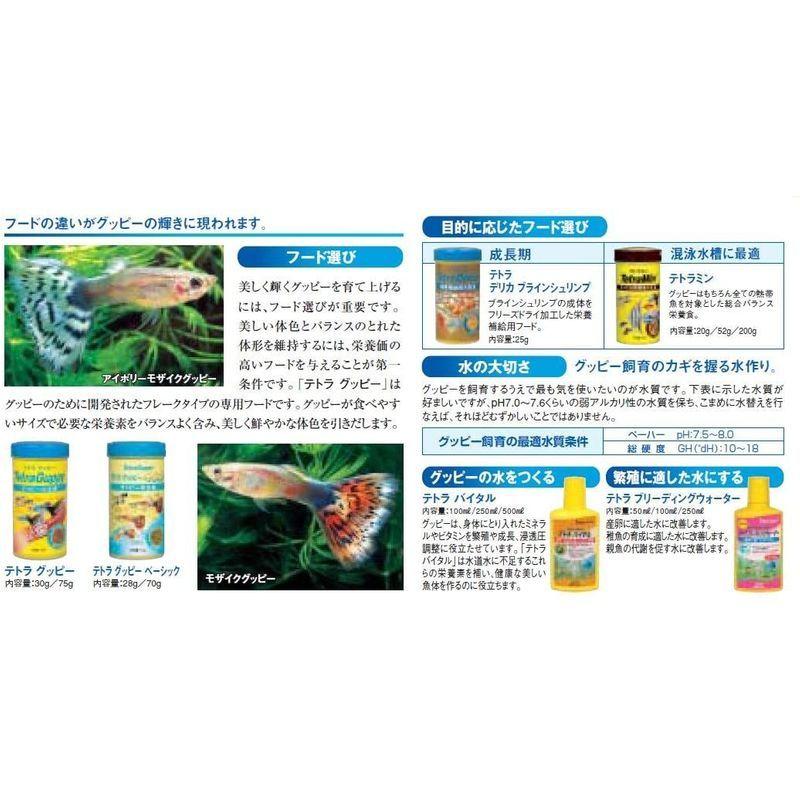 21新入荷 テトラ Tetra ハーフムーンアクアリウムミニ Hm 10gf 水槽 アクアリウム 熱帯魚 金魚 メダカ Shipsctc Org