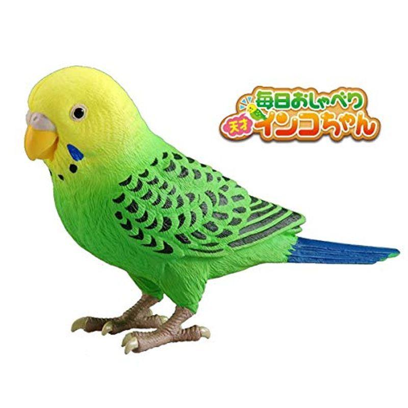 ランキング第1位 タカラトミー Takaratomy 天才インコちゃん 毎日おしゃべり 電子玩具 Hqpt Com