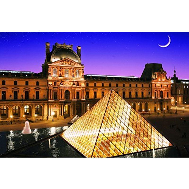 新製品情報も満載 1000ピース (50x75cm) パリのセーヌ河岸VII-ルーヴル美術館フランス めざせパズルの達人 ジグソーパズル ジグソーパズル
