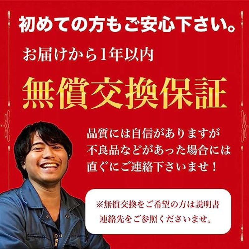 ながら洗車ホームウォッシュ 容量10L『水道を持ち運ぶ人 』どこでも洗車決定版 電動水洗車 出張洗車 アウトドア キャンプ BBQ 海水浴 - 6