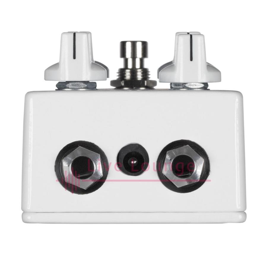 EarthQuaker Devices ◇ Dispatch Master V3 Reverb & Delay