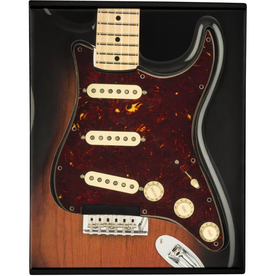fender フェンダー Amazon | フェンダー Fender Mexico 純正パーツ 998003706