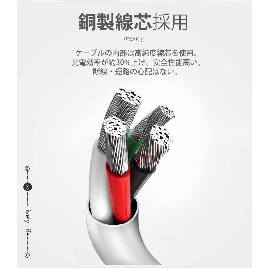LivelyLife 2本セット Type-C 充電ケーブル 短い USB Type C ケーブル