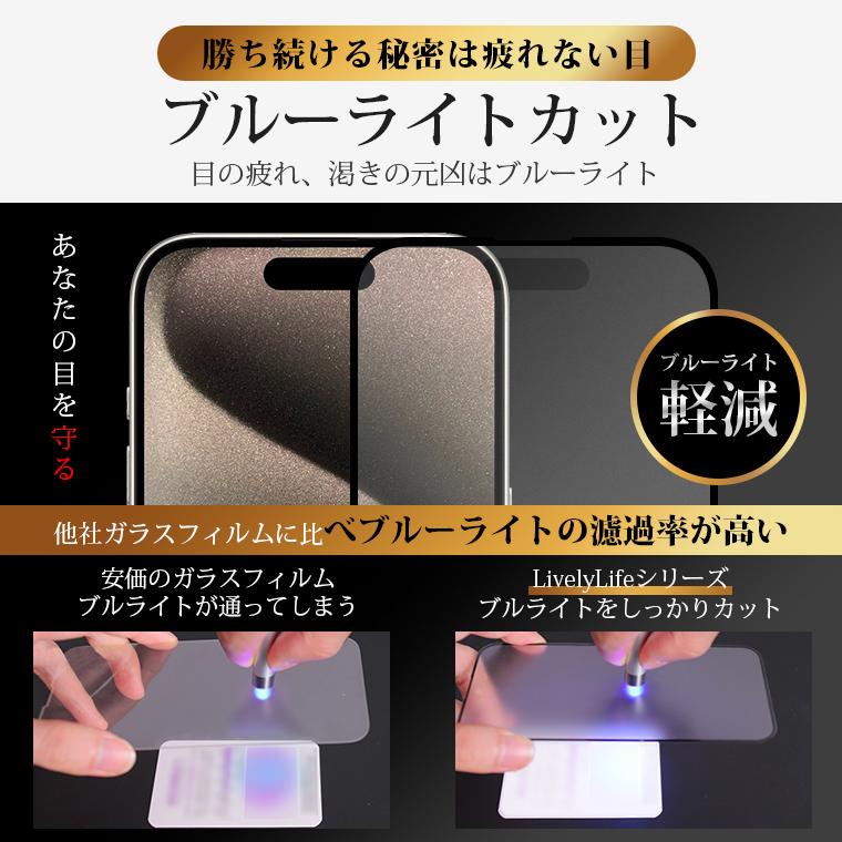 10%OFF サラサラ 2枚入り iPhone17 保護フィルム ブルーライトカット iPhone 17 Pro Max ガラスフィルム 覗き見防止 フィルム iPhone 17E16E 15 16 14 13 Pro SE | LivelyLife | 13