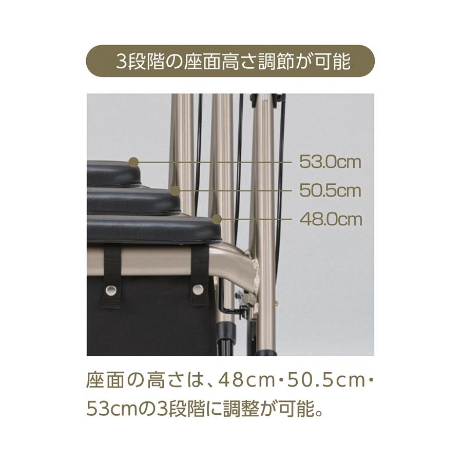 アルコー アルコーステラ トレイ付 抑速ブレーキ付 100663 カゴ載せ