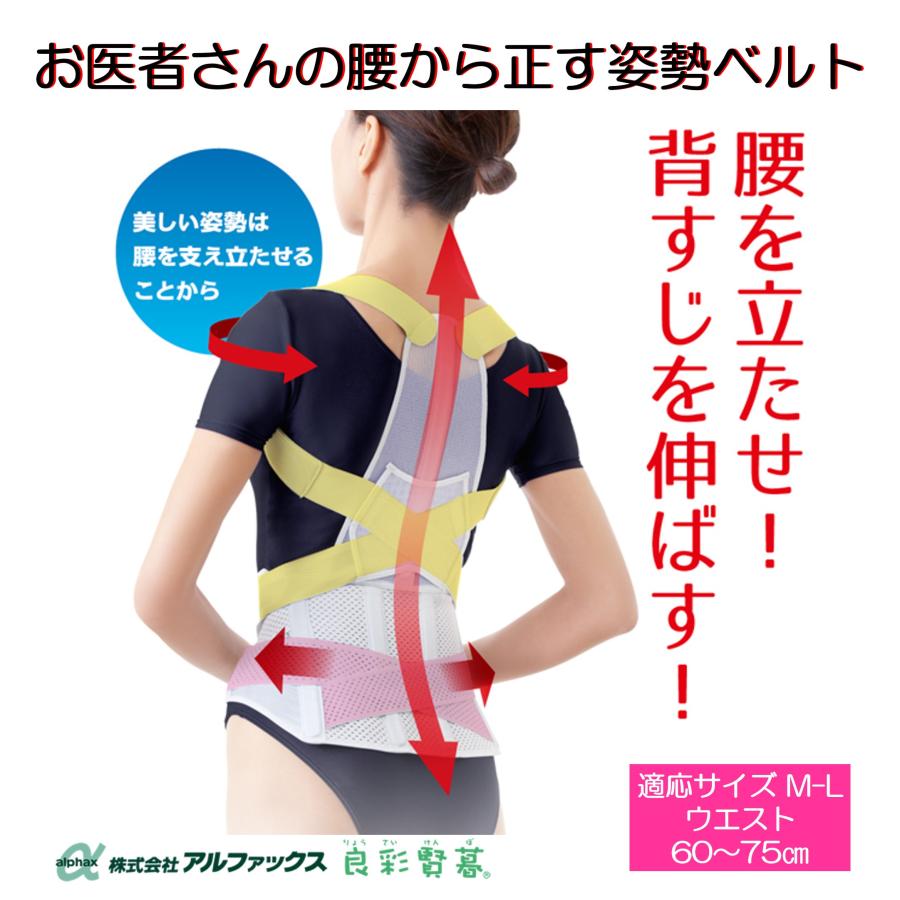 サポーター お医者さんの腰から正す姿勢ベルト M-L メッシュタイプ