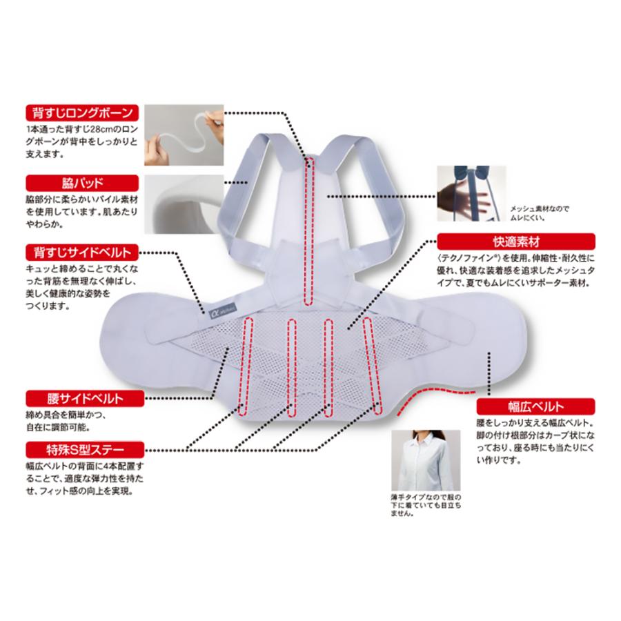 サポーター お医者さんの腰から正す姿勢ベルト M-L メッシュ