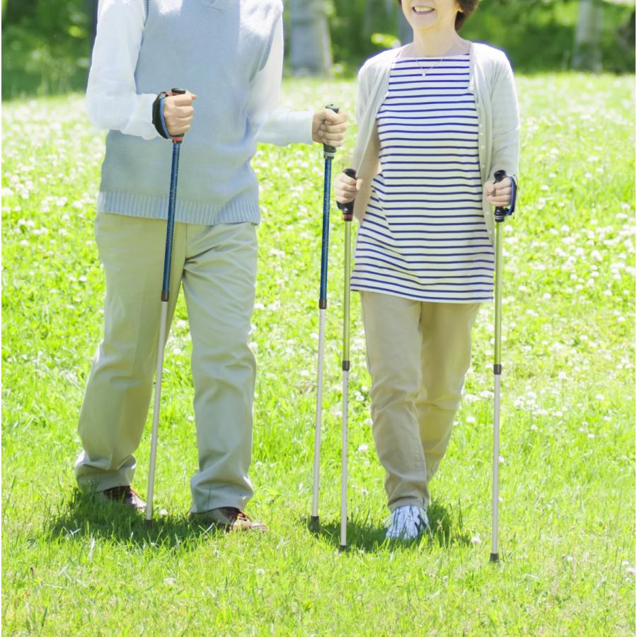 市場 ウォーキングポール 介護用品 高齢者 介護予防 ノルディックウォーク 軽量 送料無料 介護 おしゃれ