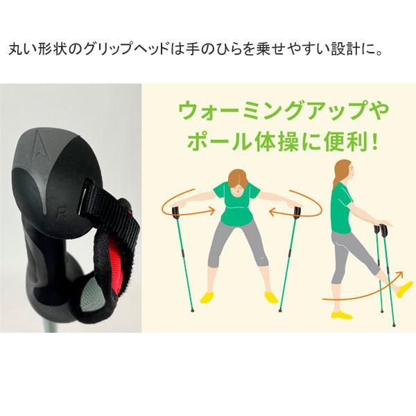 SINANO（シナノ） レビータ ネクスト 2本杖 ウォーキングポール