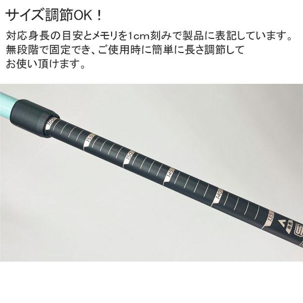 SINANO（シナノ） レビータ ネクスト 2本杖 ウォーキングポール