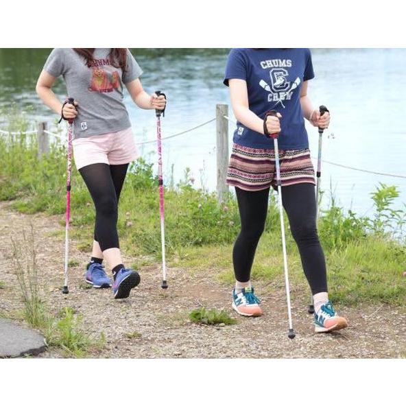 SINANO（シナノ） レビータ ネクスト 2本杖 ウォーキングポール