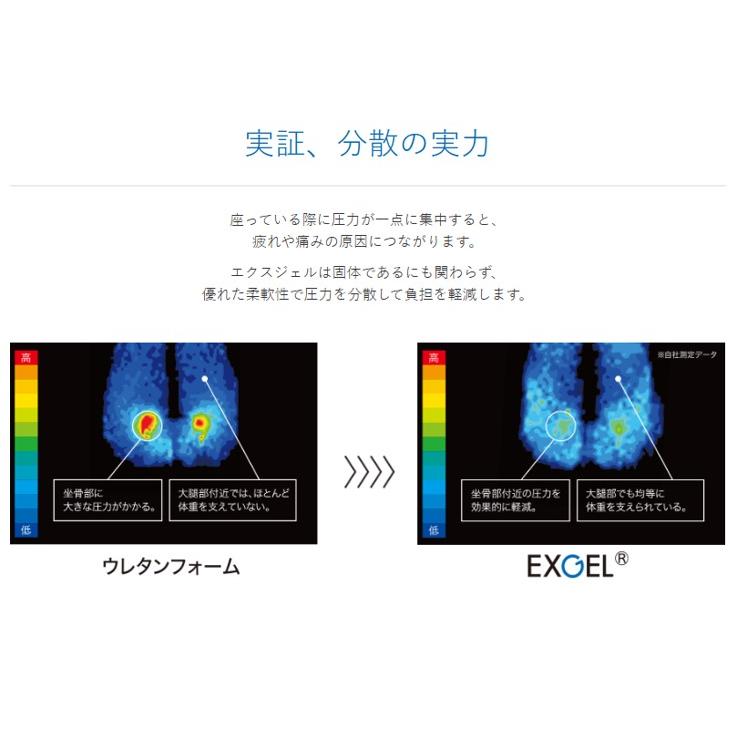 EXGEL（エクスジェル） 車椅子 車いす クッション アウルケア 70C