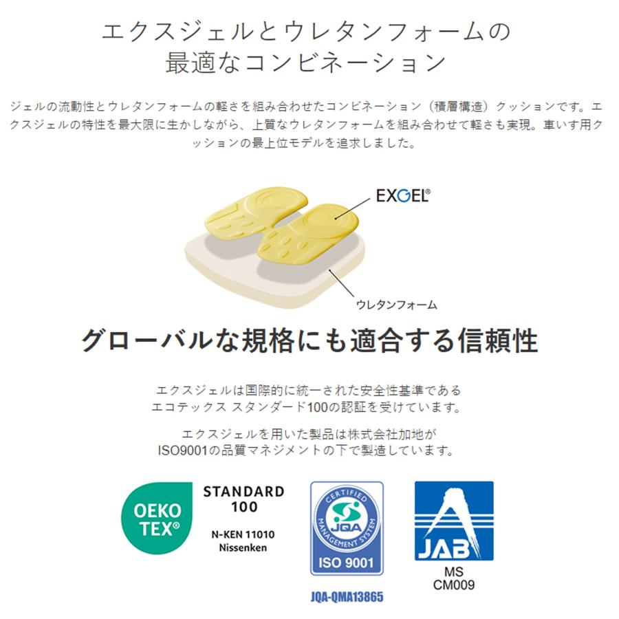 EXGEL（エクスジェル） 車椅子 車いす クッション アウルケア 80C