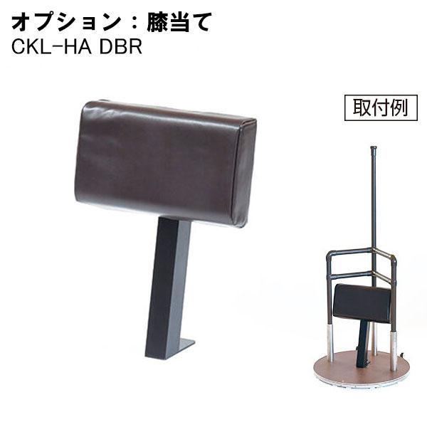 yazaki 手すり たちあっぷ ひざたっちC 回転式 たててすり CKI-03 室内