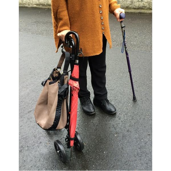 【公式】 軽量 車輪付き ステッキ 〔ブーケ〕 幅17×奥行45×高さ88cm 買い物袋 バッグ用フック付 傘固定可能 ハンドレール ステッキ II 【2097956029】(11295円)
