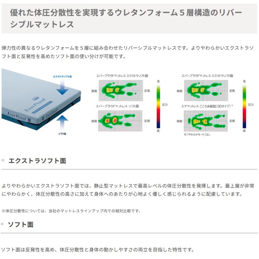 パラマウントベッド（PARAMOUNT BED） 【個人様向け限定】特殊寝台付属