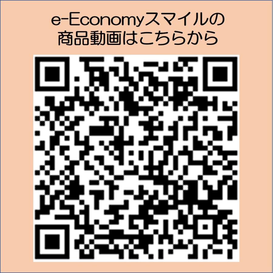 マキテック 車椅子 軽量 電動車いす 個人宅配送無料 e-Economy