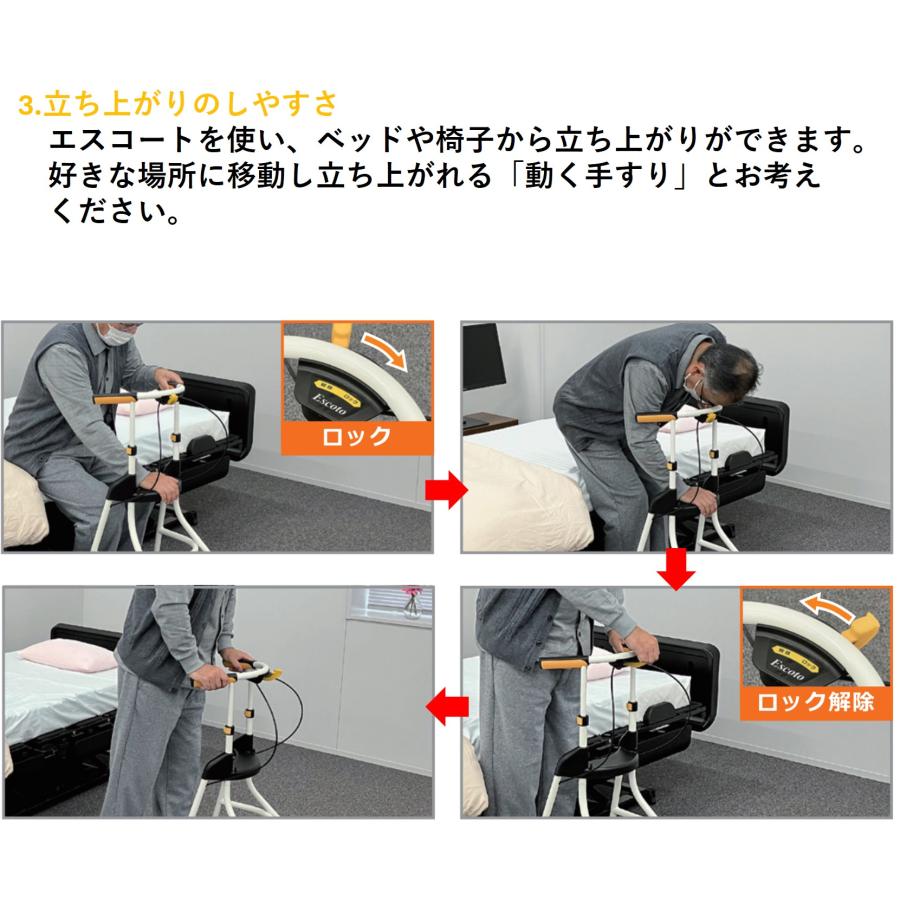 molten（モルテン） 歩行車 歩行器 エスコート MESCP 室内用 屋内用
