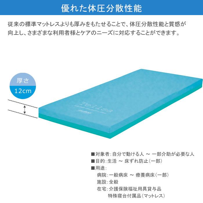 molten（モルテン） 特殊寝台付属品マットレス テルサ Tellsa （防水