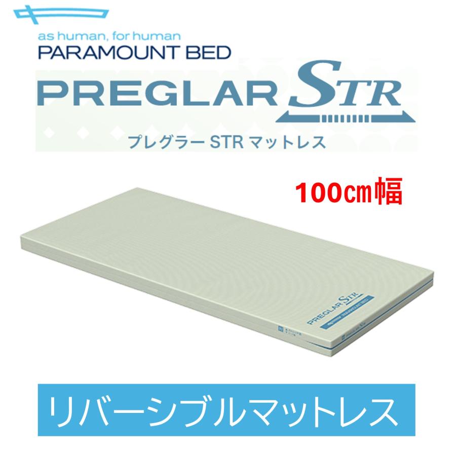 パラマウントベッド（PARAMOUNT BED） 【個人様向け限定商品】特殊寝台
