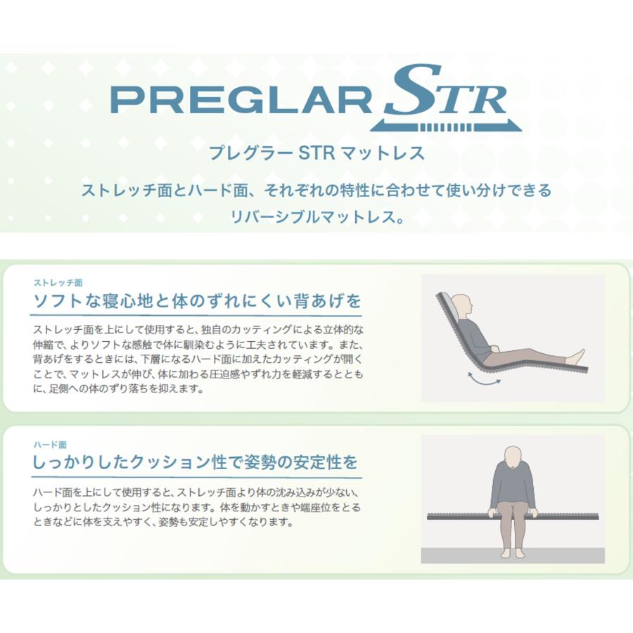 パラマウントベッド（PARAMOUNT BED） 【個人様向け限定商品】特殊寝台