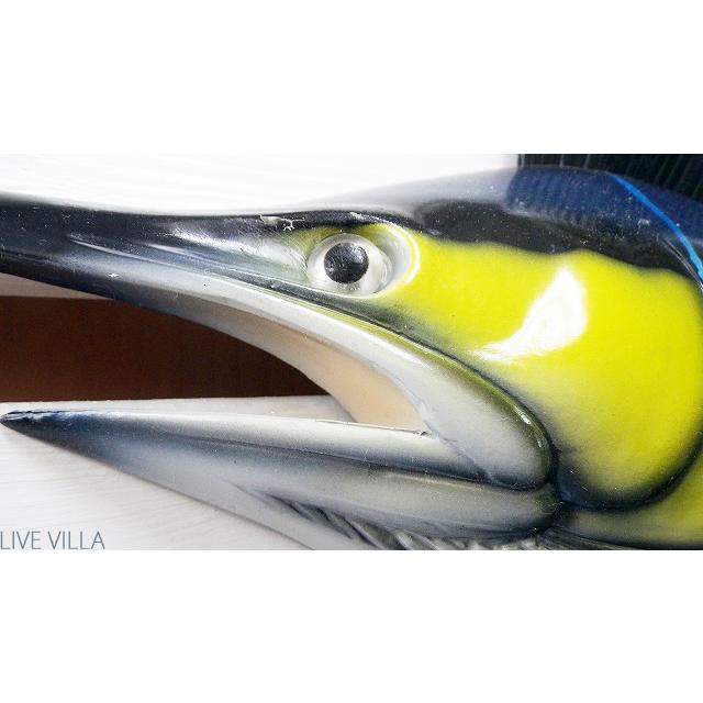 マリン カジキ マカジキ バショウカジキ バショウ sailfish マリン カジキ マカジキ バショウカジキ バショウ sailfish