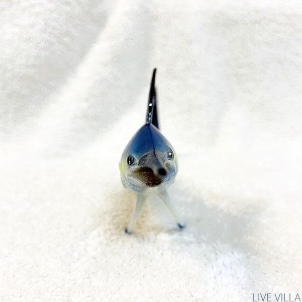 マリン マカジキ カジキ マグロ 置物 模型 ミニチュア ボディ（SS