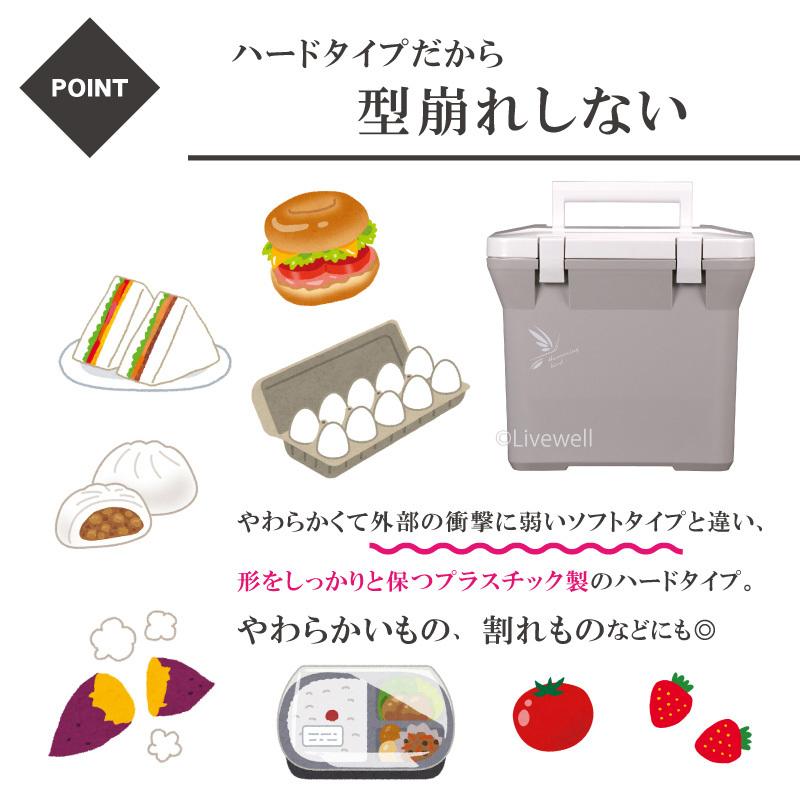 Livewell（リブウェル） クーラーボックス 小型 保冷力 釣り ブラック
