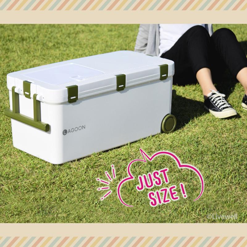 Livewell クーラーボックス 大型 保冷力 45L 釣り おしゃれ Livewell クーラーボックス 大型 保冷力 45L 釣り おしゃれ