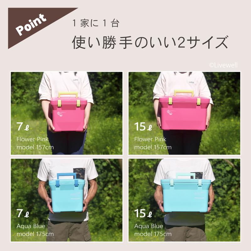 Livewell クーラーボックス＋食器セット 小型 保冷 保温 おしゃれ 保冷
