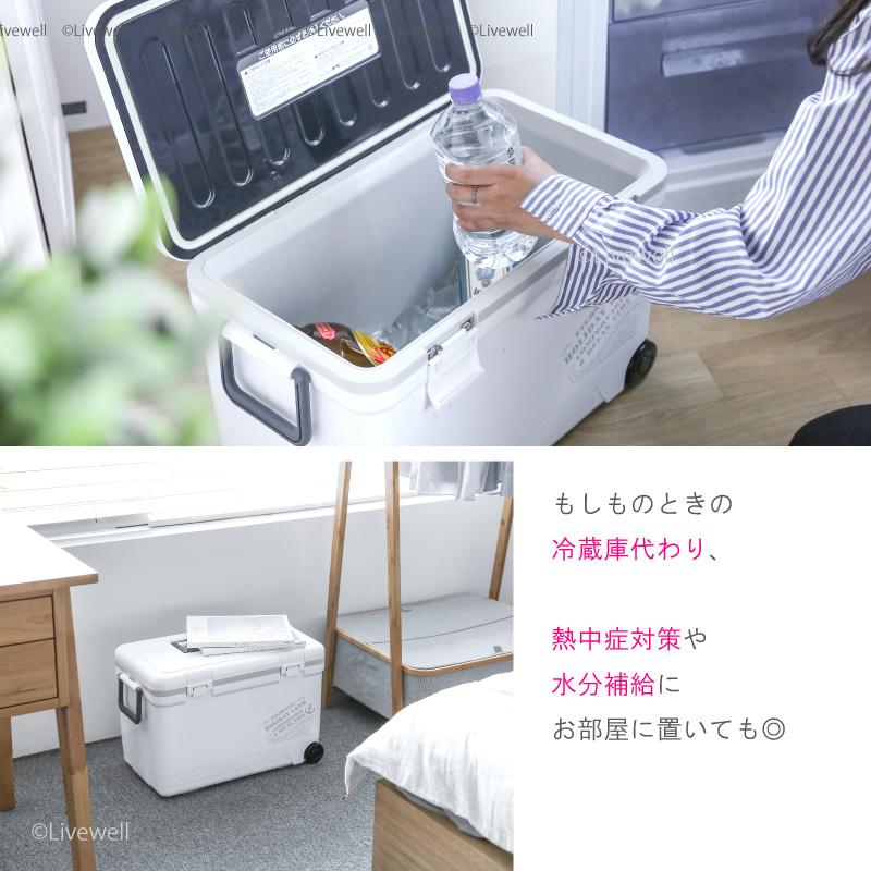 伸和（SHINWA） クーラーボックス 小型 保冷力 釣り おしゃれ 部活 22L