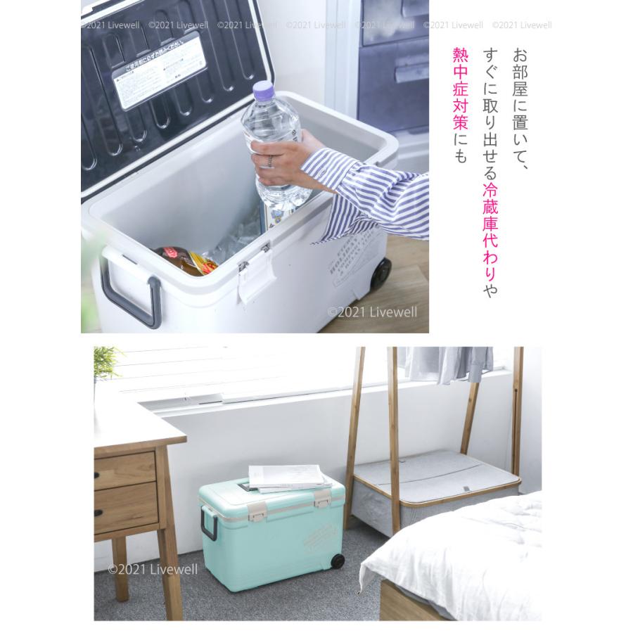 伸和（SHINWA） クーラーボックス 大型 保冷力 釣り おしゃれ 76L