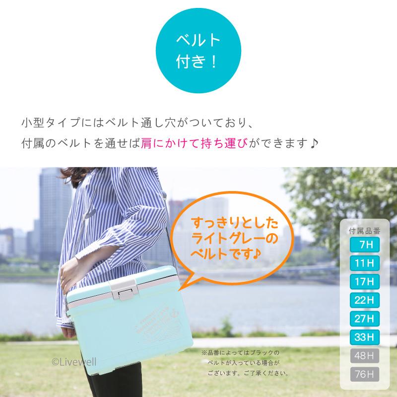 らびりん 伸和（SHINWA） クーラーボックス 大型 保冷力 釣り おしゃれ 部活 27L