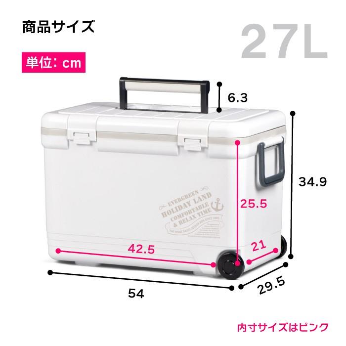伸和（SHINWA） クーラーボックス 大型 保冷力 釣り おしゃれ 部活 27L