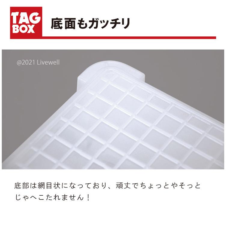 衣類収納ケース ホワイト プラスチック製収納ボックス 1個 伸和（SHINWA） 衣装ケース 収納ケース 収納ボックス フタ付き