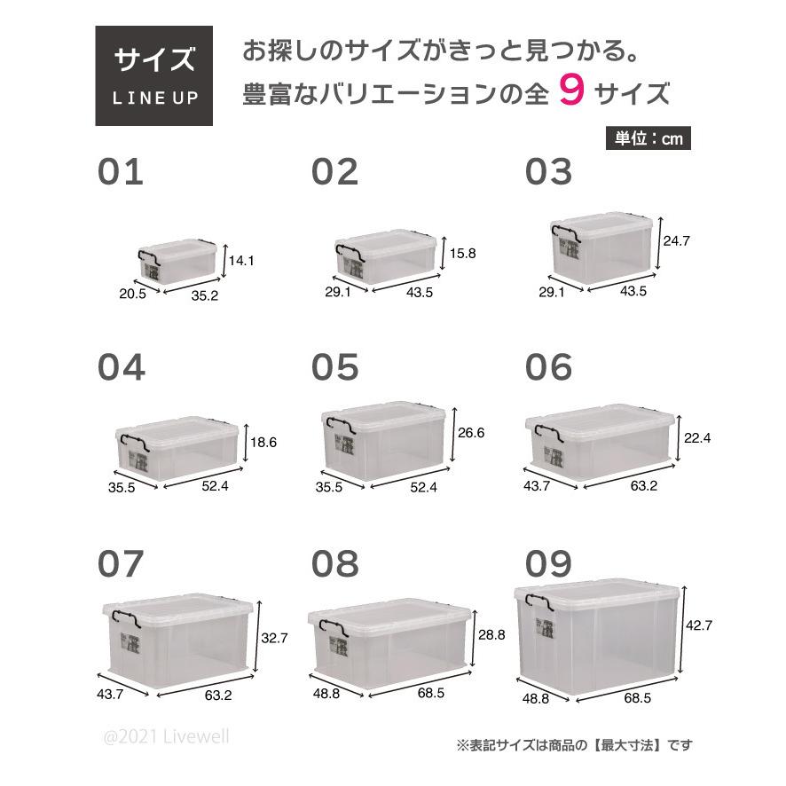 伸和（SHINWA） 衣装ケース 収納ケース 収納ボックス フタ付き