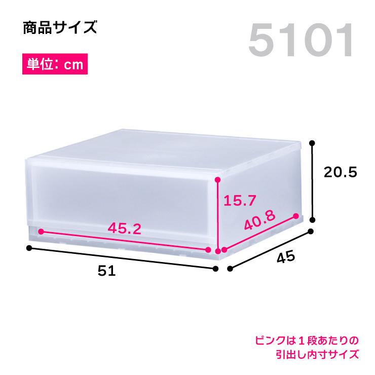 伸和（SHINWA） 衣装ケース 収納ケース プラスチック 引き出し