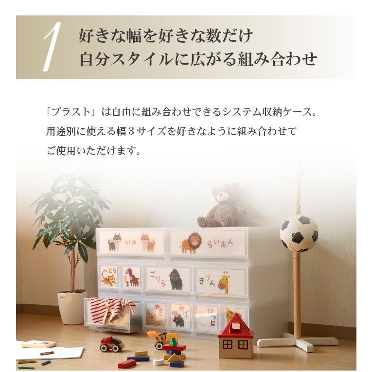 伸和（SHINWA） 10個セット 衣装ケース 収納ケース プラスチック 幅