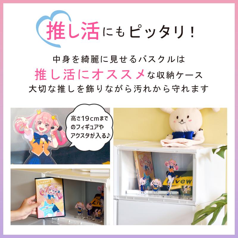 爆買 前が開く 前開き 収納ケース 2面開閉 収納ボックス 衣類 靴