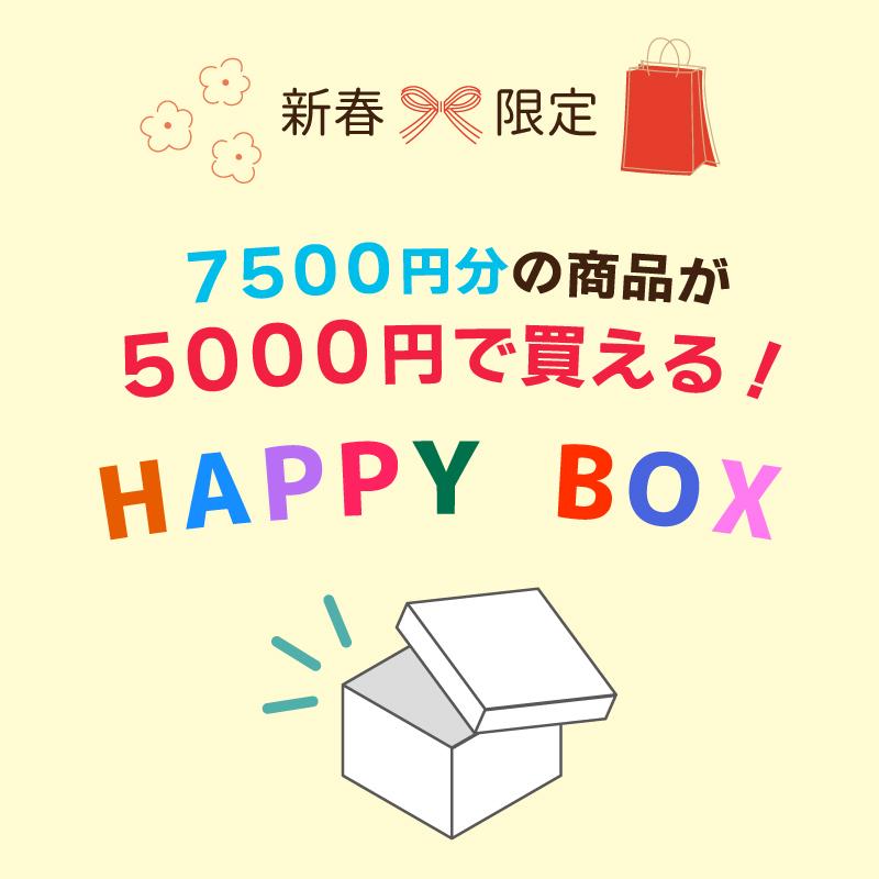 ハッピーボックス 福袋 新春 おすすめ 人気 2025年 おしゃれ かわいい