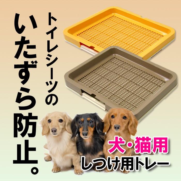 トレーニングトイレ 小型犬 室内犬 ネコ イヌ ペット用品 ギガランキングｊｐ