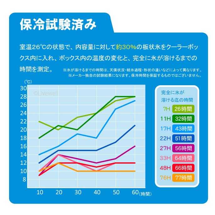 クーラーボックス 小型 保冷力 釣り おしゃれ 部活 保冷バッグ お弁当 キャンプ用品 コンパクト 7L ホリデーランドクーラー7H | 伸和（ 日用品、アウトドア用品） | 09
