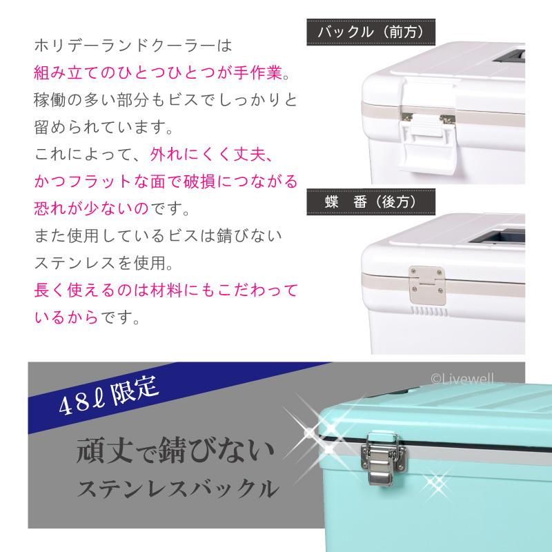 クーラーボックス 中型 保冷力 釣り おしゃれ 部活  保冷バッグ お弁当 キャンプ用品 コンパクト 17L ホリデーランドクーラー17H｜livewell｜09