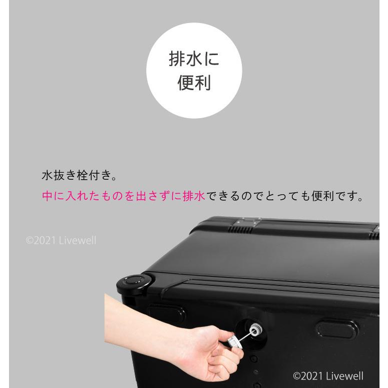 クーラーボックス 27L 中型 保冷力 釣り 部活 おしゃれ 保冷バッグ お弁当 キャスター付き ハミングバードEXC27 ホリデーランドクーラー｜livewell｜15