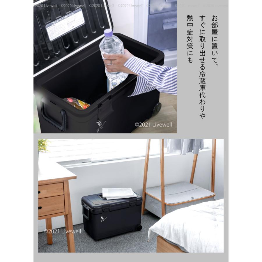 Livewell クーラーボックス 33L 大型 保冷力 釣り 部活 保冷